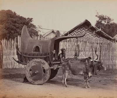 Chariot de campagne, Birmanie (1886-88) - British Photographer